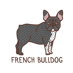 Isolated French Bulldog in Hand Drawn Doodle Style