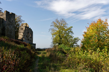 Burgruine Homburg und Naturschutzgebiet Ruine Homburg,Unterfranken, Franken, Bayern, Deutschland