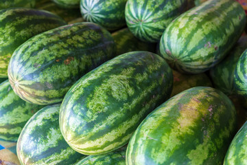 Fruits watermelon fresh green color. Close up of watermelons on farmers market.