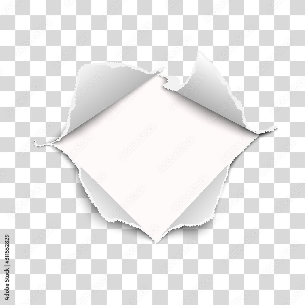 Wall mural snatched middle of vector transparent paper with torn edges, soft shadow and empty space. damaged sh
