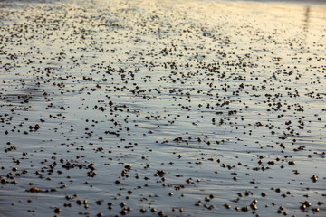Beach abstract, wet sand reflecting sunlight during sunset