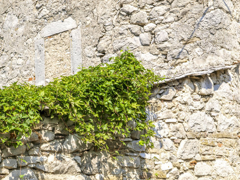 Gracisce, Gallignana, Kroatien, Istrien