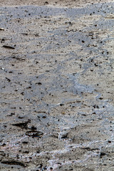 Flussbett eines ausgetrockenten Sees