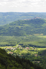 Fototapeta na wymiar Istrien, Kroatien, Zigante Trüffel, tartufi, Motovun, Livade