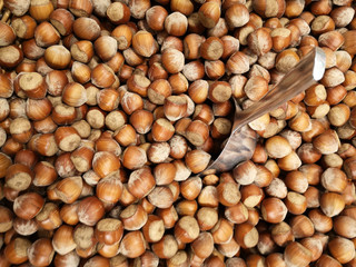Hazelnuts for sale at rmarket. Background image on the subject of organic, vegan or vegetarian raw food.