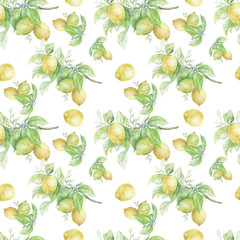 pattern seamless print textile lemons on a branch fruit citrus nature leaves watercolor hand-drawn separately on a white background exotic tropics