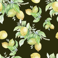 pattern seamless print textile lemons blossom branch leaves fruits garden fruits white green yellow citruses freshness flora plants watercolor hand-drawn bright holiday nature on a dark background