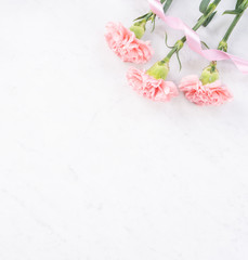 Beautiful, elegant pink carnation flower over bright white marble table background, concept of Mother's Day flower gift, top view, flat lay, overhead