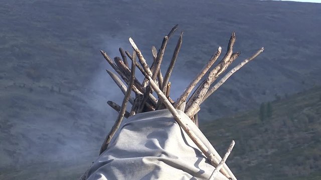 Mongolia. Darkhat basin. The camp of reindeer herders. Deer.