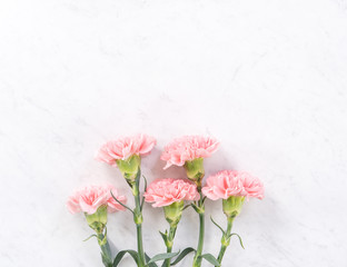 Beautiful, elegant pink carnation flower over bright white marble table background, concept of Mother's Day flower gift, top view, flat lay, overhead