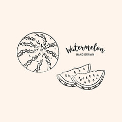 Watermelon fruit graphic drawing. Sketch of watermelon on a white background. Vector isolated illustration