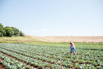 Happy couple in a hug amid the cabbage plantation.