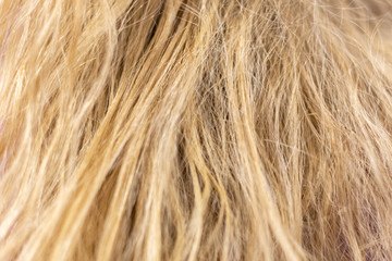 background of untidy, tough, blond hair of a woman
