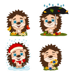 Collection of hedgehog in different seasons - summer, autumn, winter, spring - isolated on white background