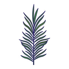 tropical leaf icon, flat design