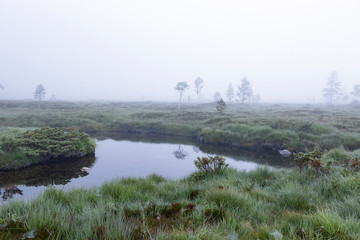 Moorlandschaft im Nebel, Norwegen