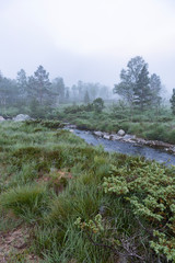 Moorlandschaft im Nebel, Norwegen