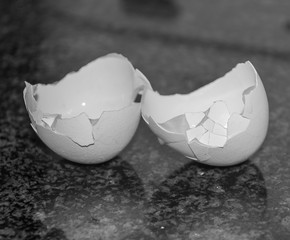 Eierschale