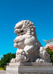 Fototapeta na wymiar Chinese lion statue.