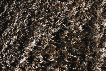 snow grass, first snow,first frost,hoarfrost in the mountains,snow nature