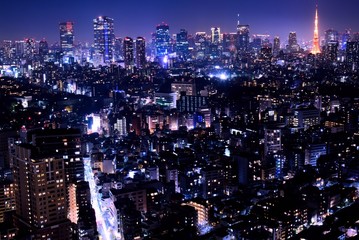 Fototapeta na wymiar 東京の夜景