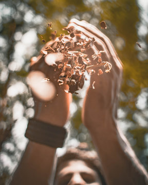 Dry Leaf crush