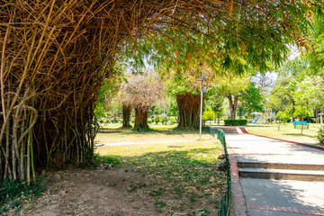 Islamabad Japanese Children Park 89