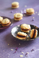 Sandwich Cookies with Chocolate Filling, on light purple background.