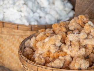 Cotton is an important raw material for making garments