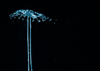 Water splash crown. Drop collision on black background