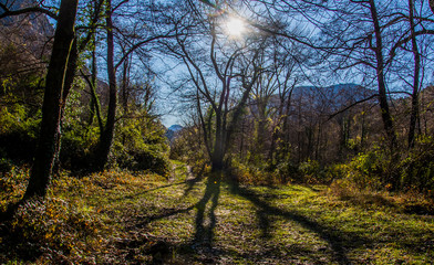 Breil sur Roya-Alpes Maritimes-Au bord de la Roya