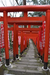 The view of Kamakura in Japan