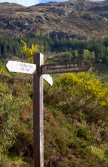 Glenfinnan -dragonfly trail - street sign - No 1 -