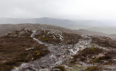 Rothiemurchus - hiking hill trail - I - Scotland
