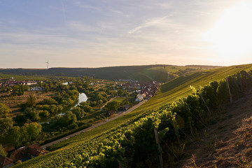 Fototapeta premium Weinberge an der Volkacher Mainschleife, Unterfanken, Bayern, Deutschland
