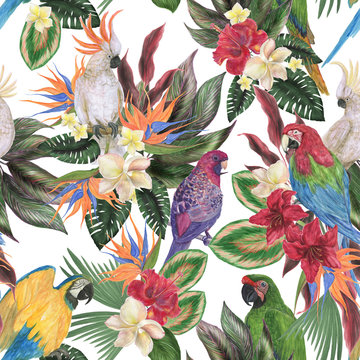 Watercolor painting seamless pattern with tropical birds and flowers, leaves.