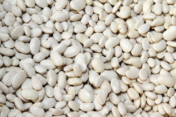 Haricot.Common Bean. Raw white beans.