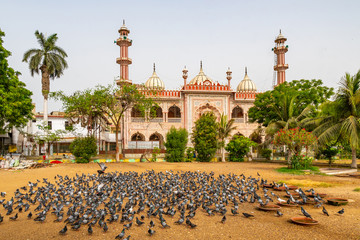 Karachi Masjid Aram Bagh Mosque 19