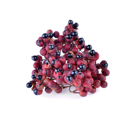 Zanthoxylum acanthopodium DC., fruits.