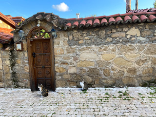 Wall of stone and wood doors. Two cats are sitting in front of the door. Side of the city of Side. Turkey, November 5, 2019.