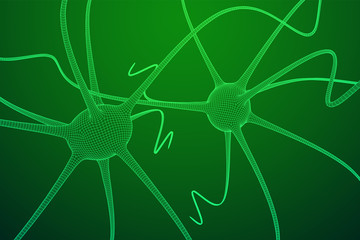 Neuron system wireframe mesh model. Low poly vector illustration. Science and medical healthcare concept