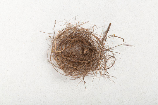Empty Nest Syndrome concept, leave home.
