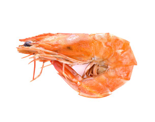 Tiger shrimp. Prawn isolated on a white background. Seafood