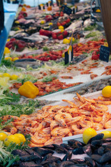 fish and vegetables at the market, provence, france, frankrike