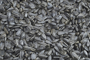 Roasted sunflower seeds large texture. For texture or background