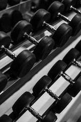 Obraz premium Dumbell at GYM, Blak and White tone