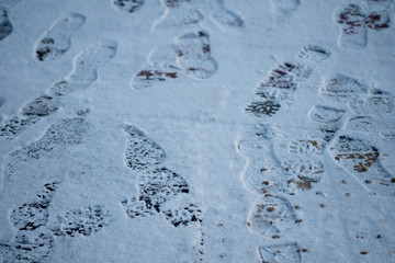 Footprints on a snowy path