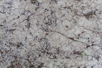 Old Weathered Natural Stone Texture