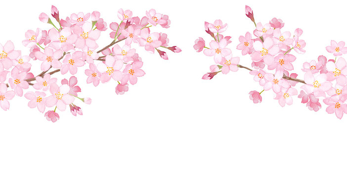 春の花：さくらのアーチ型フレーム　水彩イラスト