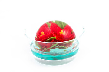 Flower Jelly Cakes, 3D Jelly Art 3D Agar